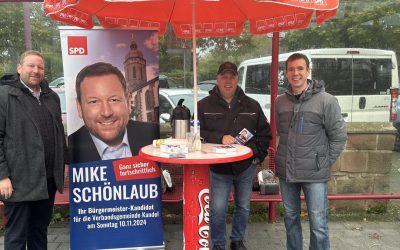 Infostand in Steinweiler