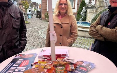 Infostand in Kandel